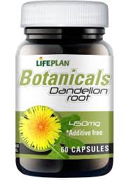 LifePlan Dandelion Root 450mg - 60 caps