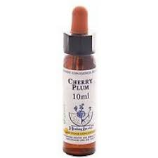 Cherry Plum Healing Herbs - Bach Flower Remedy