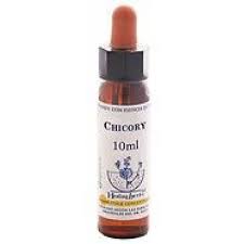 Chicory Healing Herbs - Bach Flower Remedy