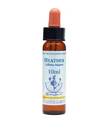 Heather Healing Herbs - Bach Flower Remedy