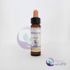Mimulus Healing Herbs - Bach Flower Remedy