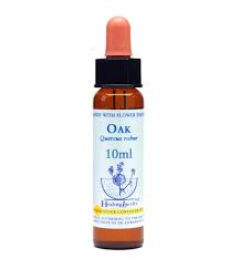 Oak Healing Herbs - Bach Flower Remedy