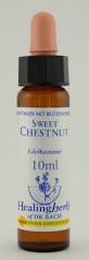 Sweet Chestnut Healing Herbs - Bach Flower Remedy