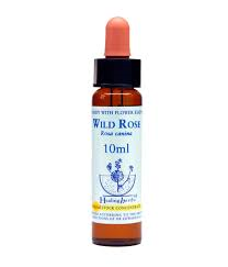 Wild Rose Healing Herbs - Bach Flower Remedy