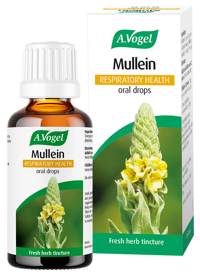 A.Vogel Mullein Oral Drops - 50ml