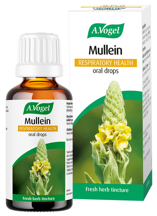 A.Vogel Mullein Oral Drops - 50ml