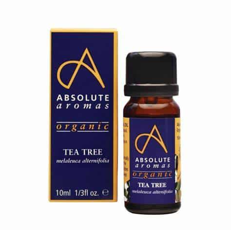 Absolute Aromas Organic Tea Tree - 10ml