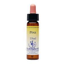 Pine Healing Herbs - Bach Flower Remedy