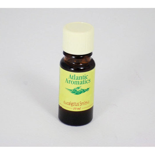 Atlantic Aromatics Eucalyptus Smithii Oil 10ml