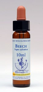 Beech Healing Herbs Bach Flower Remedy