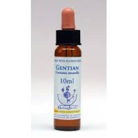 Gentian Healing Herbs - Bach Flower Remedy