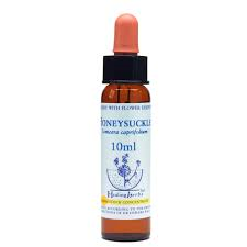 Honeysuckle Healing Herbs - Bach Flower Remedy