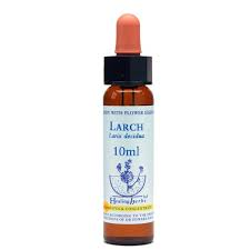 Larch Healing Herbs - Bach Flower Remedy