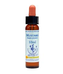 Mustard Healing Herbs - Bach Flower Remedy