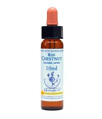 Red Chestnut Healing Herbs - Bach Flower Remedy