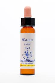 Walnut Healing Herbs - Bach Flower Remedy