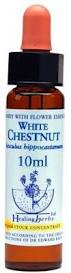 White Chestnut Healing Herbs - Bach Flower Remedy