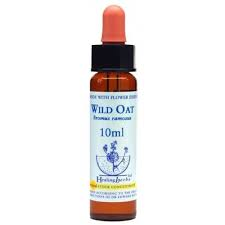 Wild Oat Healing Herbs - Bach Flower Remedy