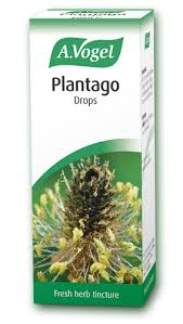 A.Vogel Plantago Drops